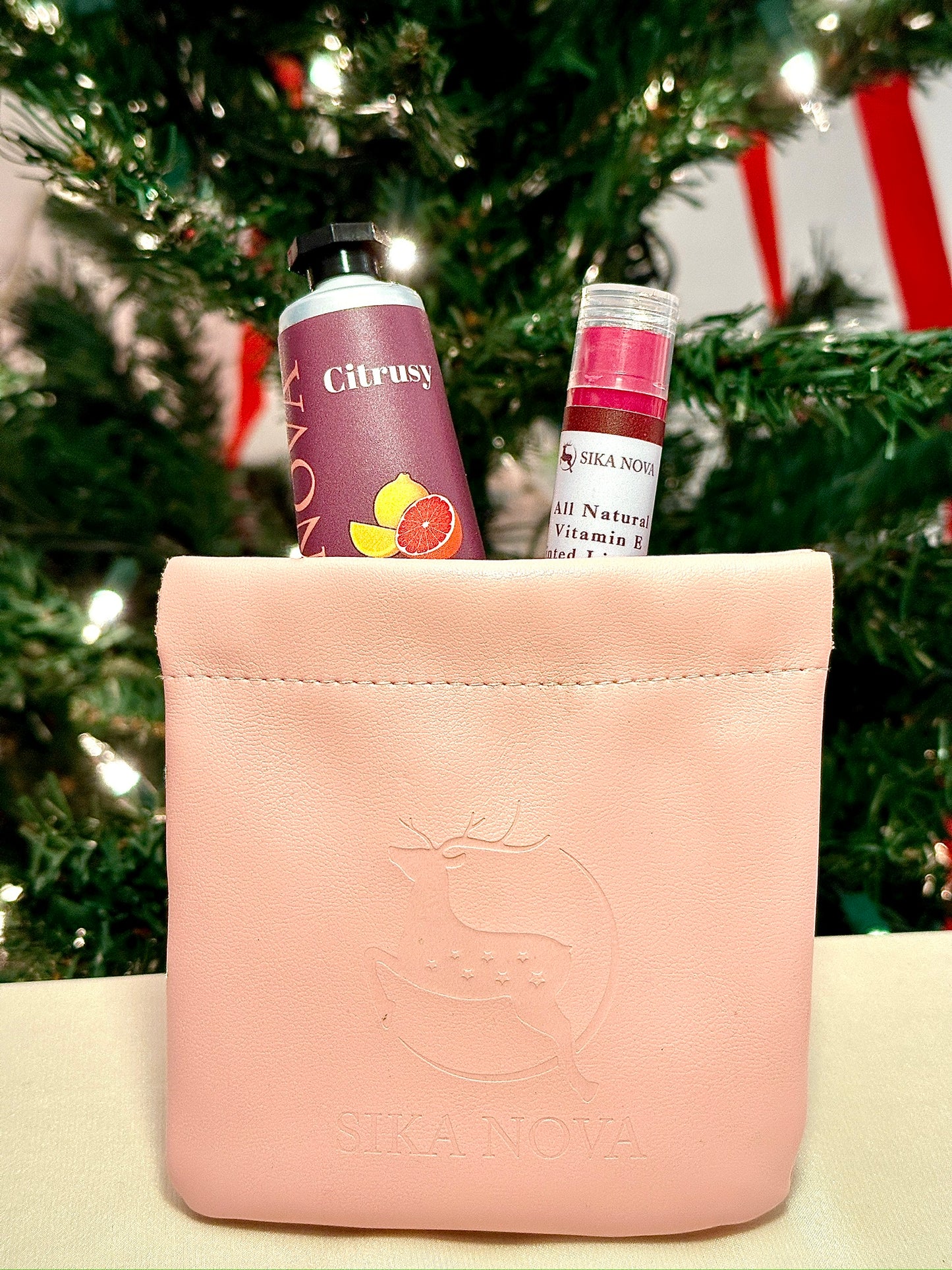 Travel kit- Hand lotion, Tinted lip balm, Pouch