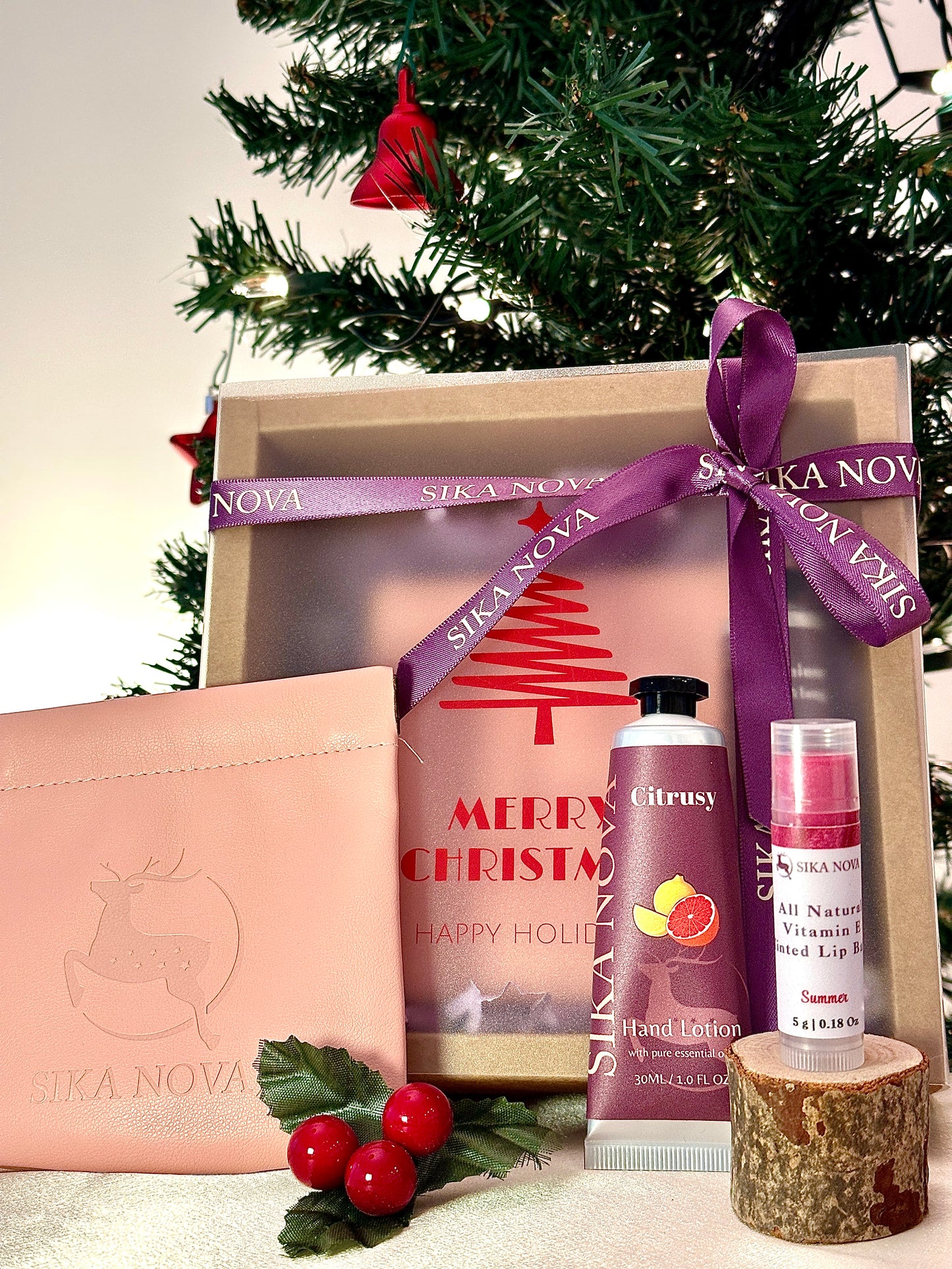 Travel kit- Hand lotion, Tinted lip balm, Pouch