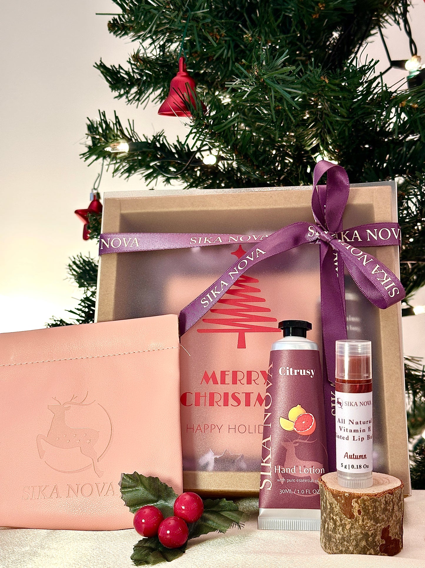 Travel kit- Hand lotion, Tinted lip balm, Pouch