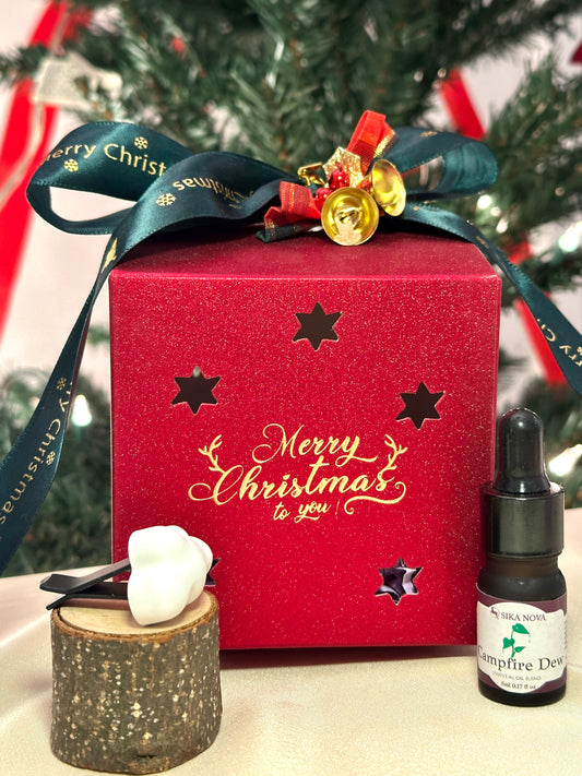 Car diffuser + essential oil blend