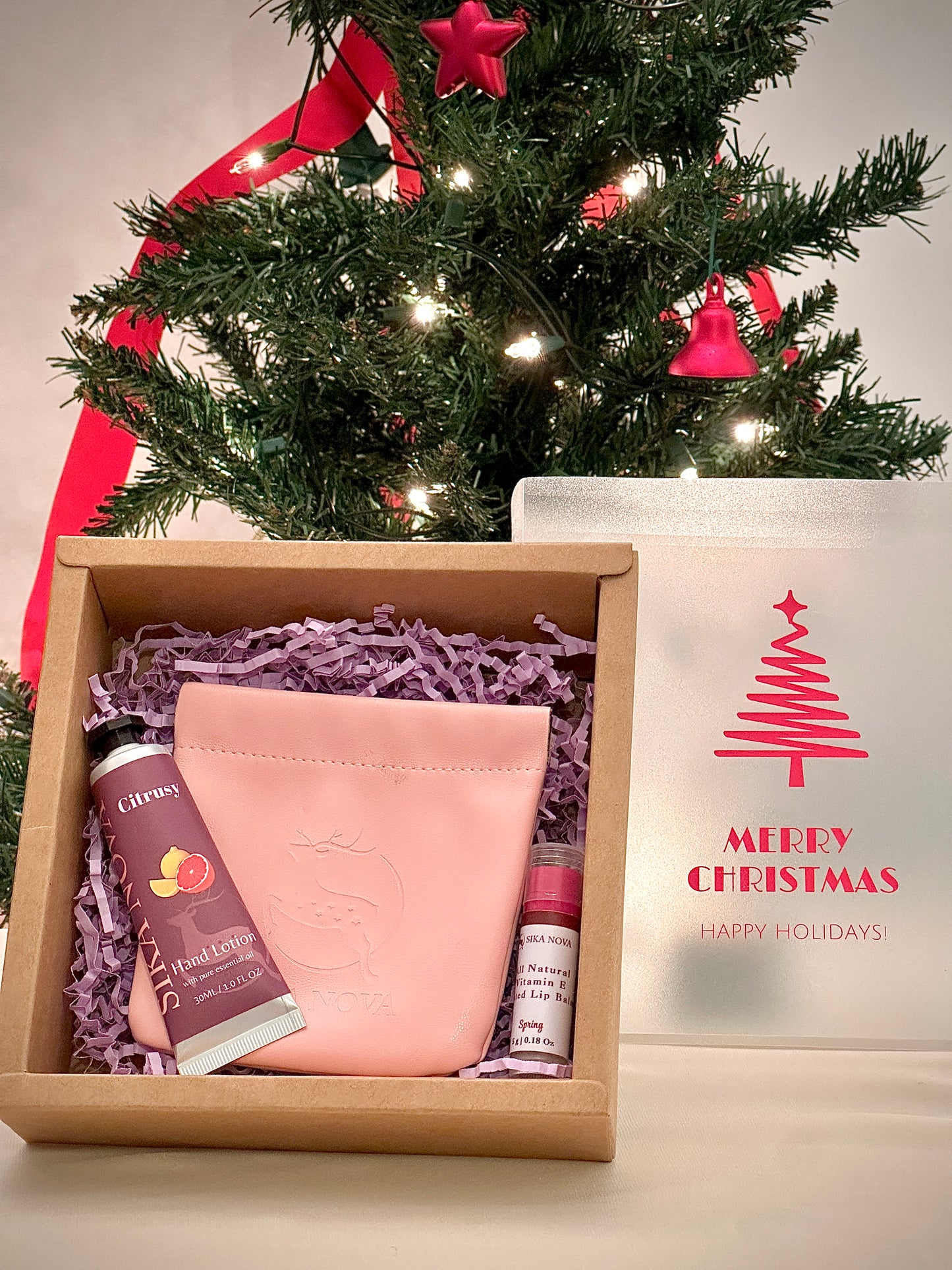 Travel kit- Hand lotion, Tinted lip balm, Pouch